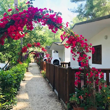 Camping Villaggio Internazionale San Menaio Ngoại thất bức ảnh