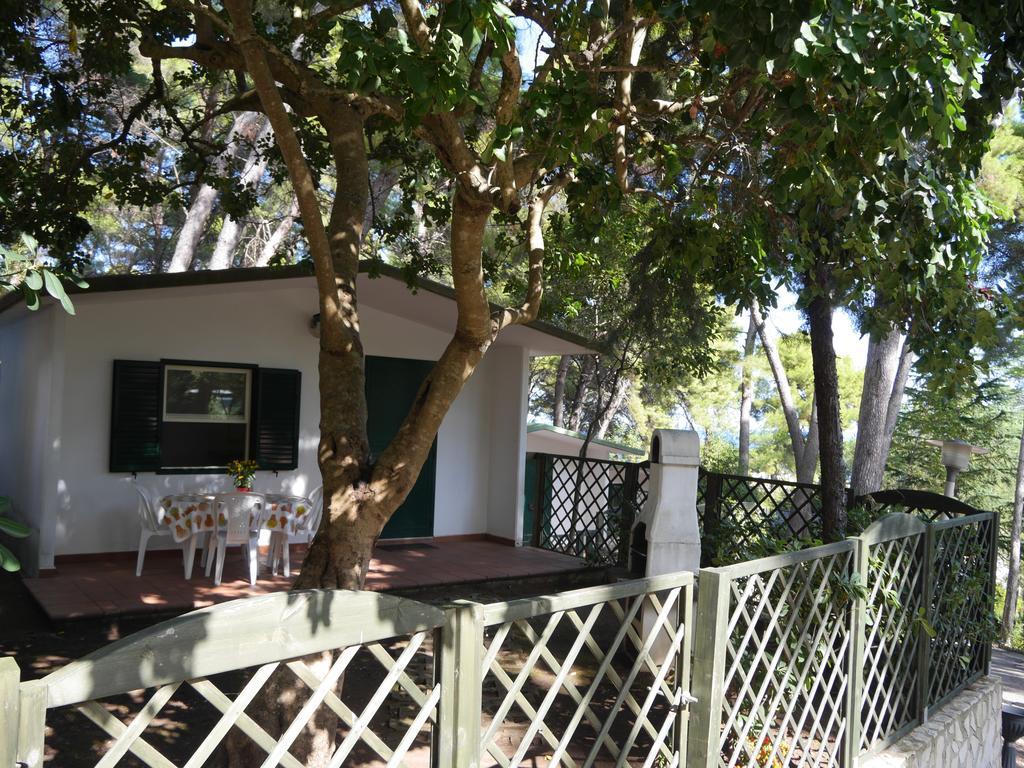 Camping Villaggio Internazionale San Menaio Phòng bức ảnh