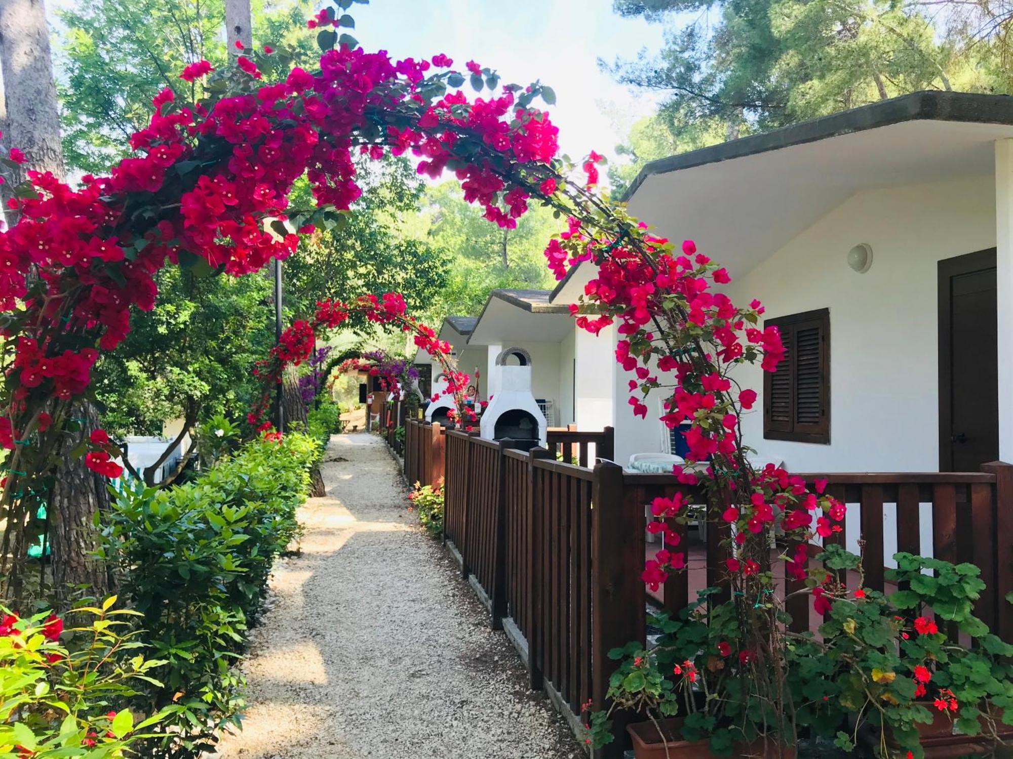 Camping Villaggio Internazionale San Menaio Ngoại thất bức ảnh