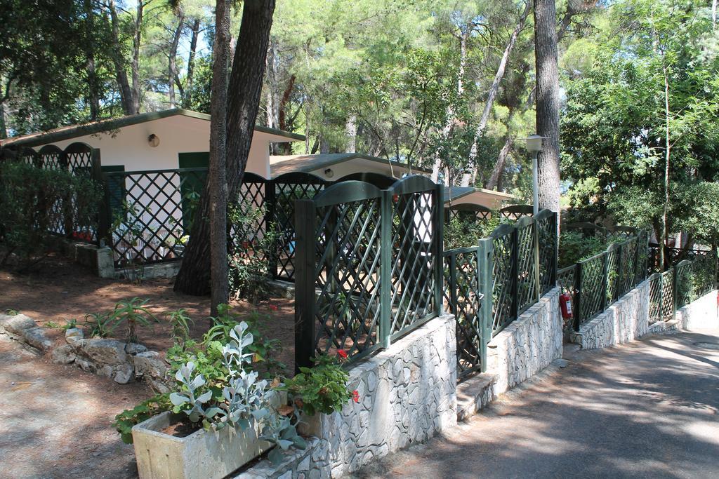 Camping Villaggio Internazionale San Menaio Phòng bức ảnh