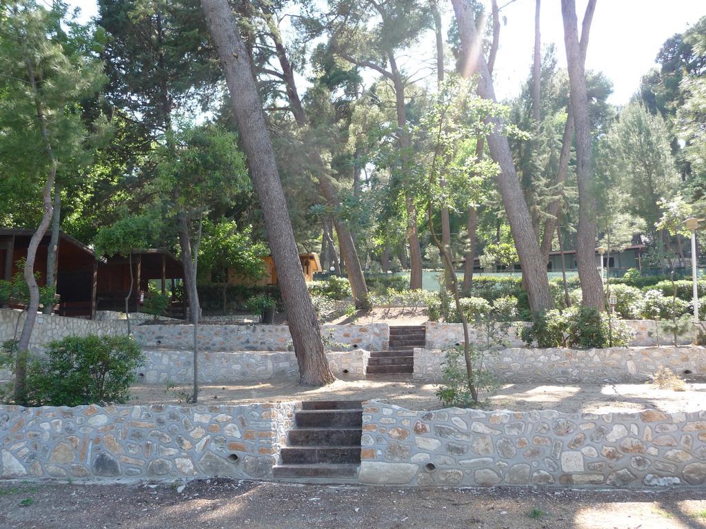 Camping Villaggio Internazionale San Menaio Ngoại thất bức ảnh