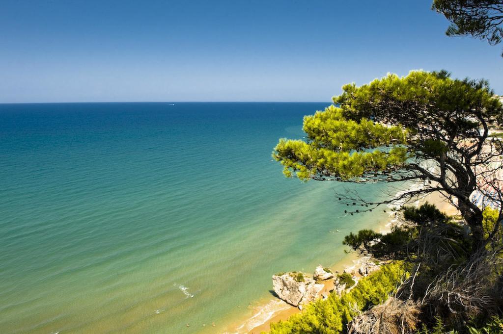 Camping Villaggio Internazionale San Menaio Ngoại thất bức ảnh