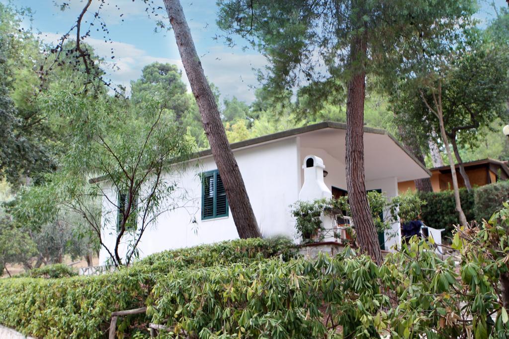 Camping Villaggio Internazionale San Menaio Ngoại thất bức ảnh